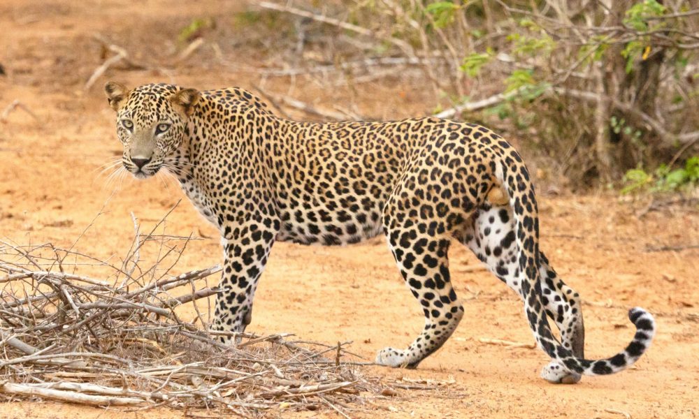 geoff-brooks-3TwThGdEUZA-unsplash