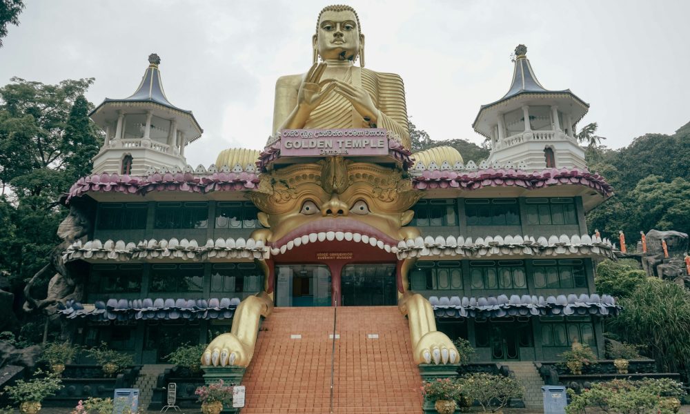 matt-dany-IS5LfDPkTDg-unsplash